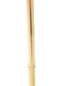 Pro Garden Citronella Tuinfakkel